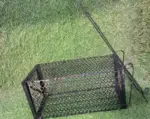 Foldable Mouse Trap Squirrel Trap Small Live Animal Trap Mouse Voles Hamsters Live Cage Rat Mouse Cage Trap for Mice Easy to Catch and Release - Image 2