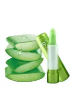 Aloe Vera Moisturizing Lip Balm – Gloss Finish (Pack of 3) - Image 5