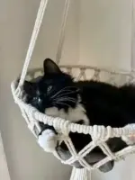 Macrame Hanging Cat Hammock Bed with Cushion - Image 5
