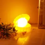 Pearl Shell Night Lamp Decorate Desk Lights Nursery Toy Lamp Led Pearl Shell Night Lights For Bedroom & Home - Image 2