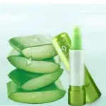 Aloe Vera Moisturizing Lip Balm – Gloss Finish (Pack of 3)