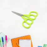 Stainless Steel Double Grip Scissors (1 Pc): Comfort Grip Handle, Multipurpose - Image 5