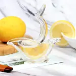Manual Lemon Slice Squeezer, Portable Transparent Fruit Juicer, Orange Citrus Manual Bird Shape Hand Juicer for Orange Lemon Lime,for Kitchen (Color Box) - Image 7