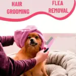 6-in-1 Pet Grooming Kit for Dogs and Cats - Image 4